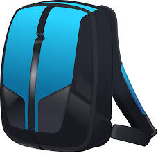 a laptop backpack